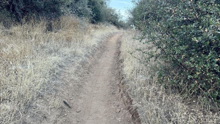 Wildwood Canyon Trail Runs cover