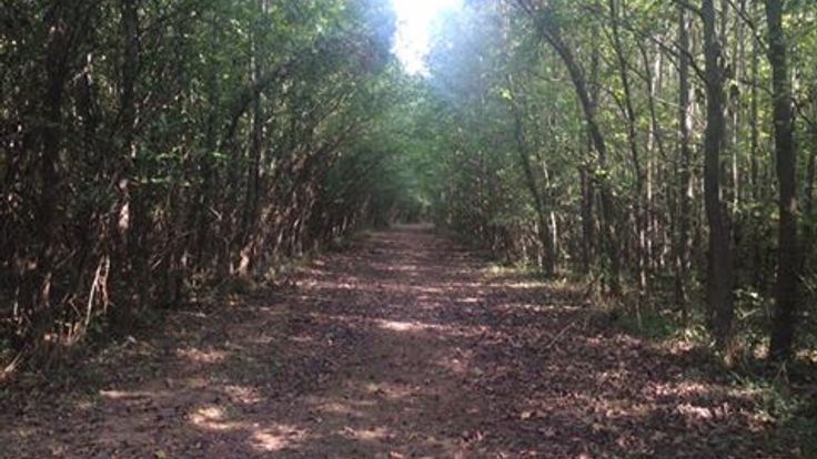 Nashville Running Company's Shelby 6 Miler cover
