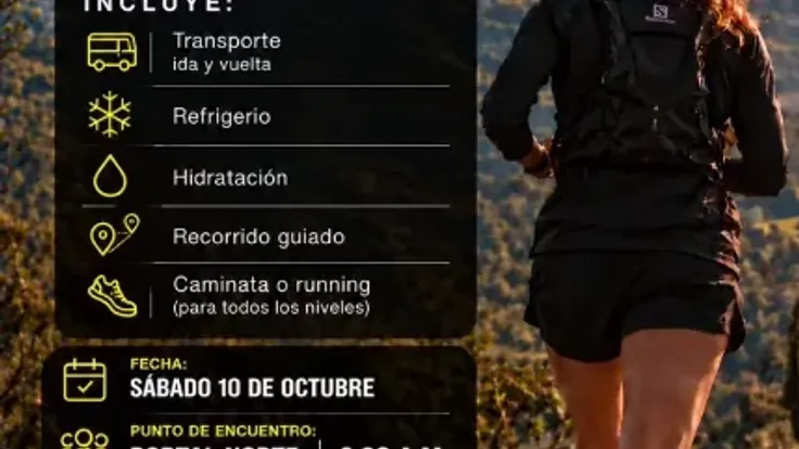 Experiencia V Runner cover