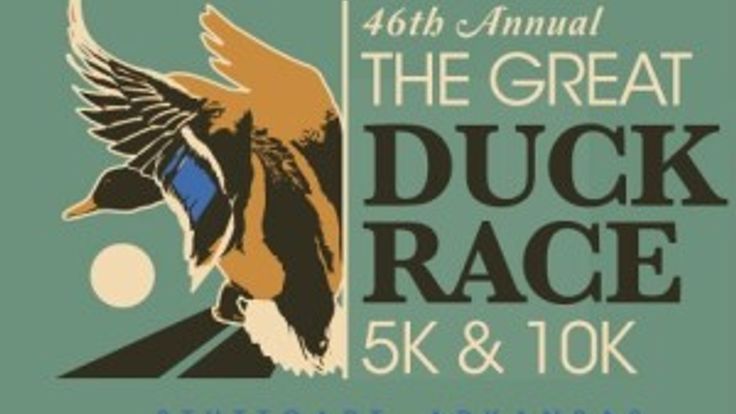 GREAT DUCK RACE cover