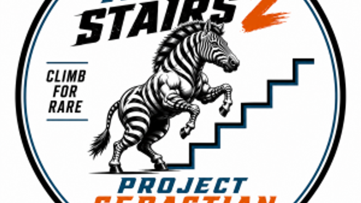 Project Sebastians Rare Stair 2 cover