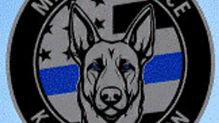 Merced Paws on Patrol Fun Run cover