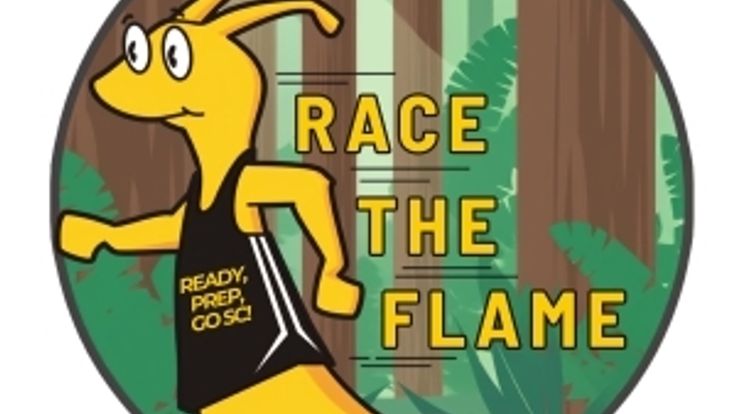 Race The Flame cover