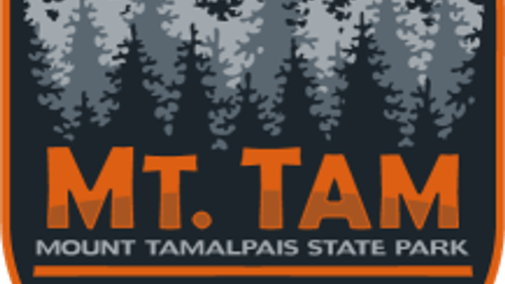 Mt. Tam Trail Run cover