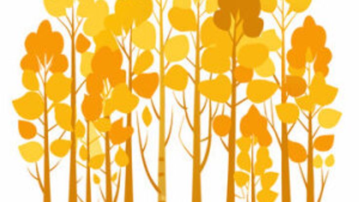 Fall Foliage Fun Run cover