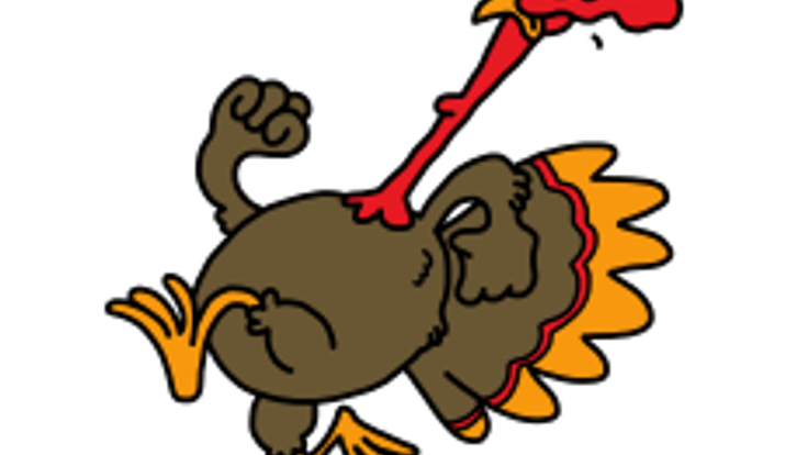 The Great Turkey Chase cover