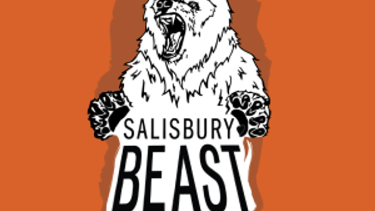 The Salisbury Beast 5K cover