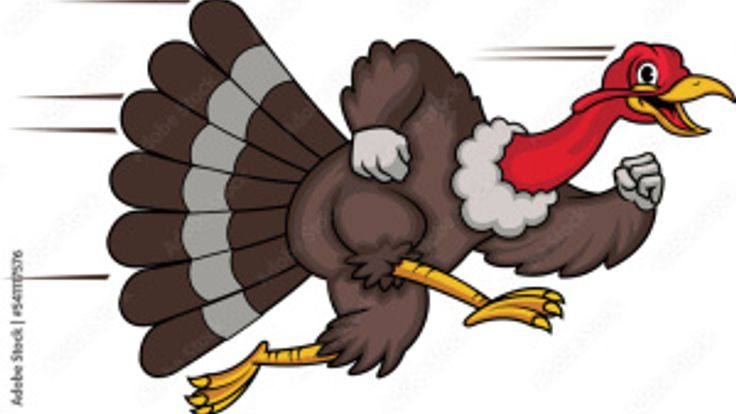 Stratford Turkey Day Trot cover