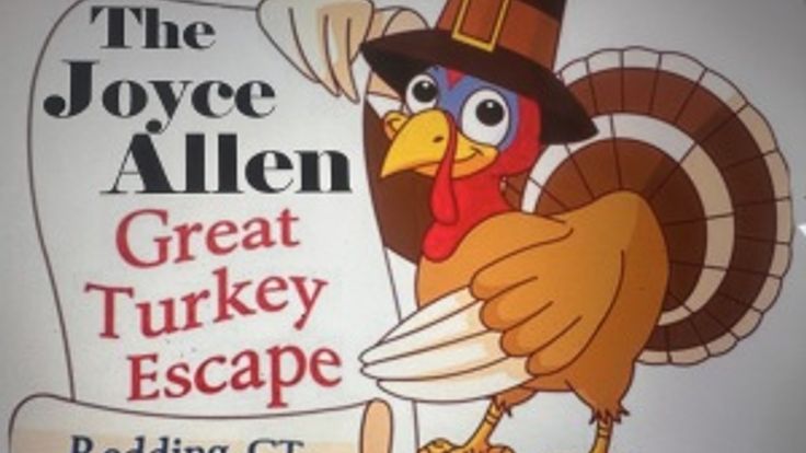 The Joyce Allen Great Turkey Escape cover