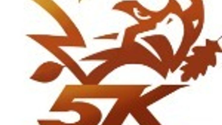Falcon 5K Turkey Trot cover