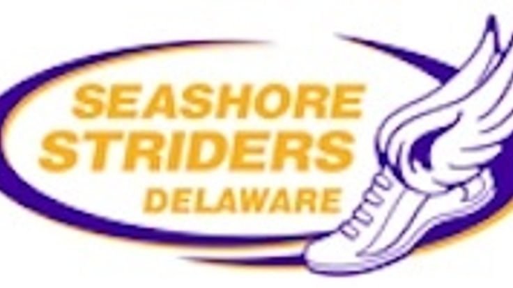 22nd Race into the New Year 5k & 1/4 Mile Fun Dash cover