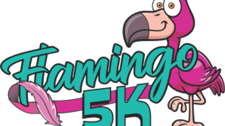 Flamingo 5K cover