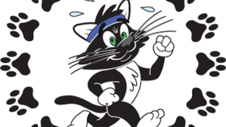 Tina's Cat Run cover