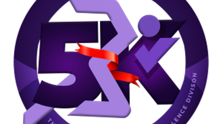 STOP Domestic Violence Abuse 5K cover