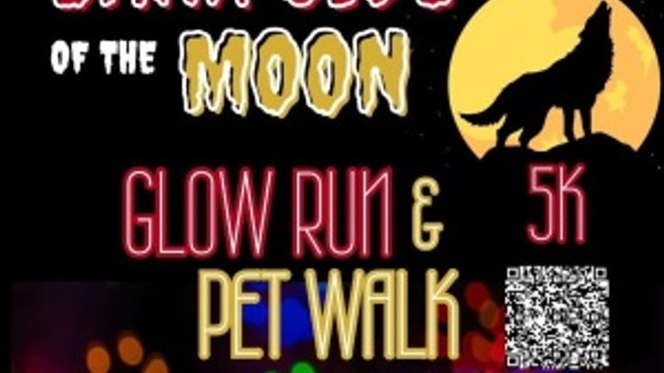 Bark Side of the Moon 5k Glow Run & Pet Walk cover