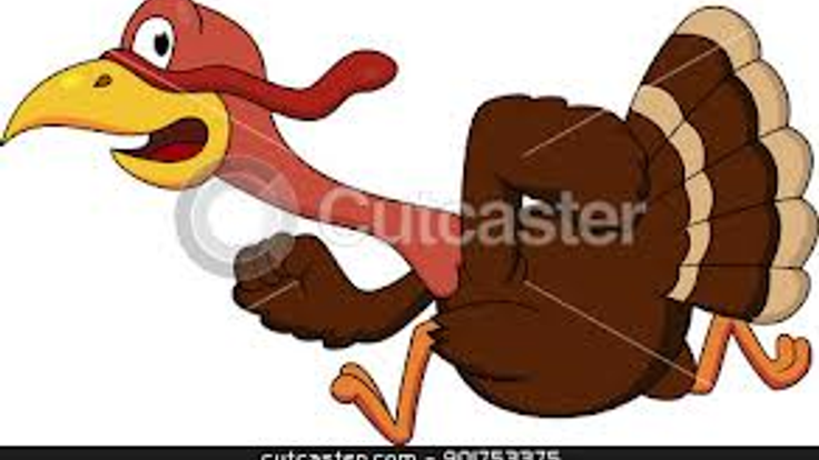 Thanksgiving Day Turkey Run & Walk cover