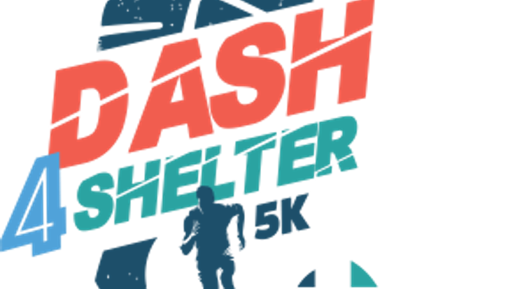 Dash 4 Shelter cover