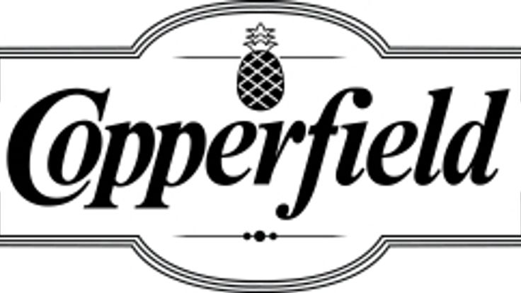 Copperfield Caregiver 5k cover