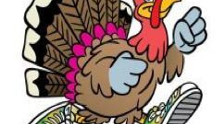 Run Turkey Run cover