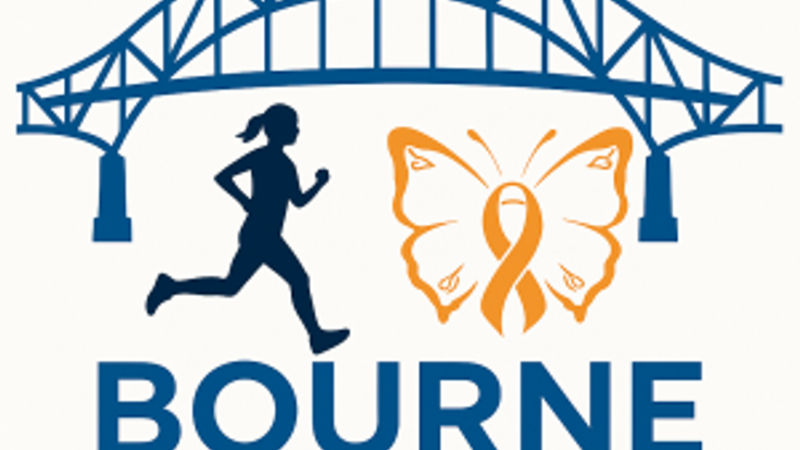 Bourne To Run cover