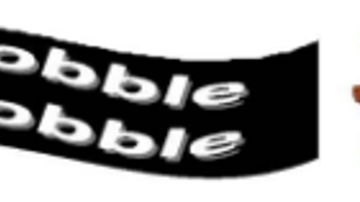 Southborough's 20th Annual Gobble Wobble cover
