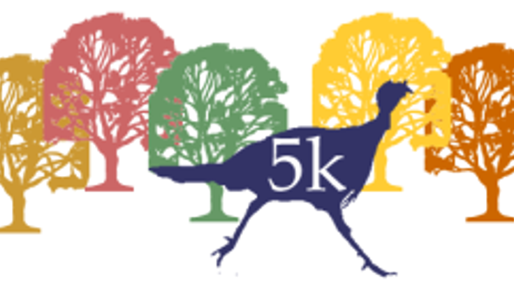 Franklin Park Turkey Trot cover