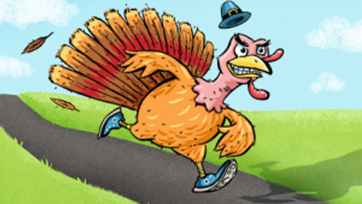 Give 'Em the Bird 5k Run / 2K Walk (12th Annual) cover