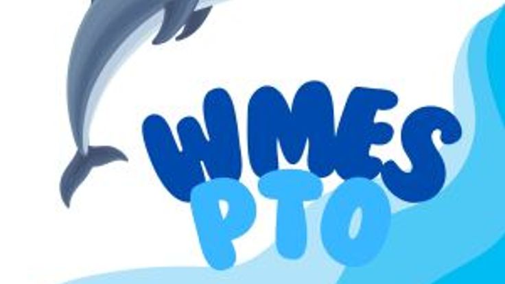 WMES COLOR RUN cover