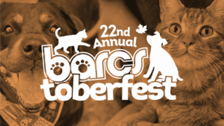 Ready, Set, SNIFF! 5K at BARCStoberfest cover