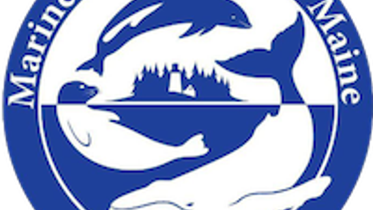 12th Annual Ocean Commotion 5K Run/Walk and 5K Virtual Challenge cover