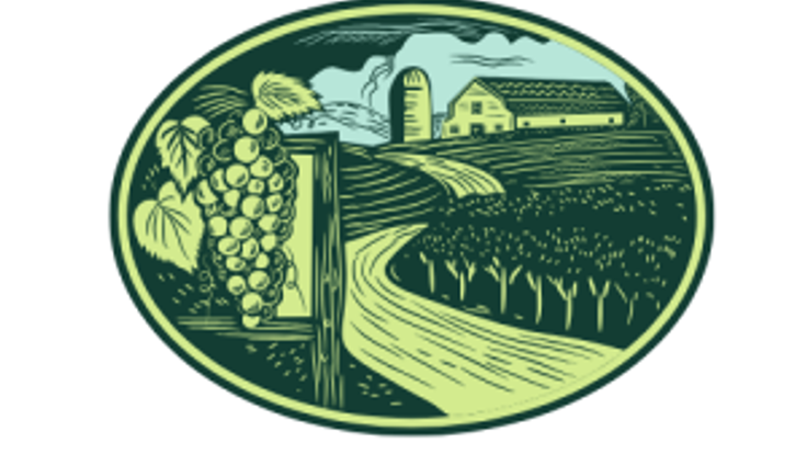 Vineyard at Sunset 5K cover