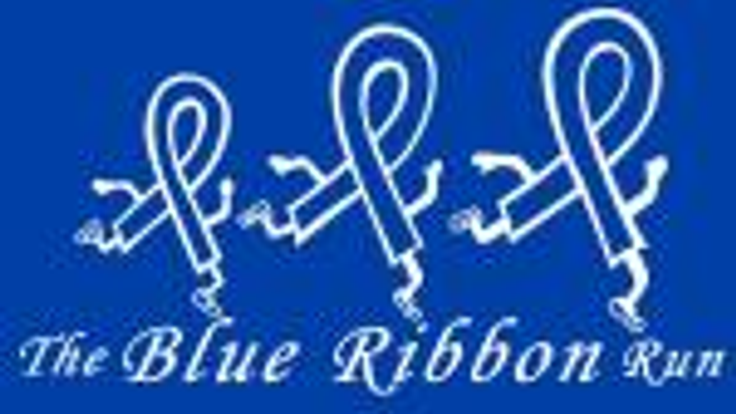 Blue Ribbon Run cover
