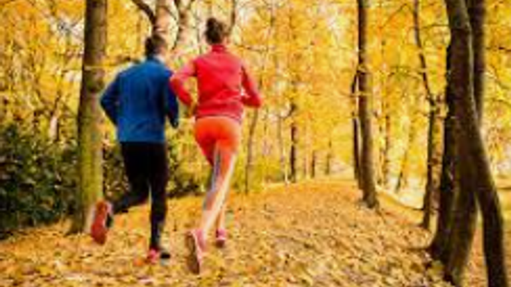 Fall Freedom 5K Run/Walk Hillsdale cover