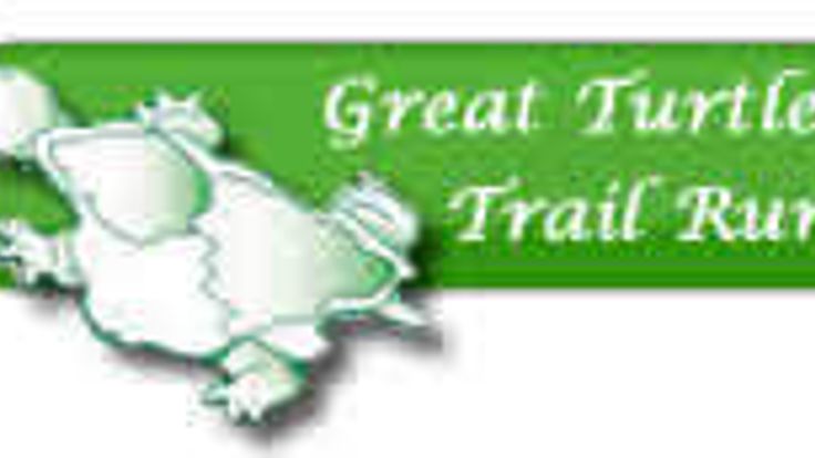 Mackinac Island Great Turtle Half Marathon & 5.7 Mile cover