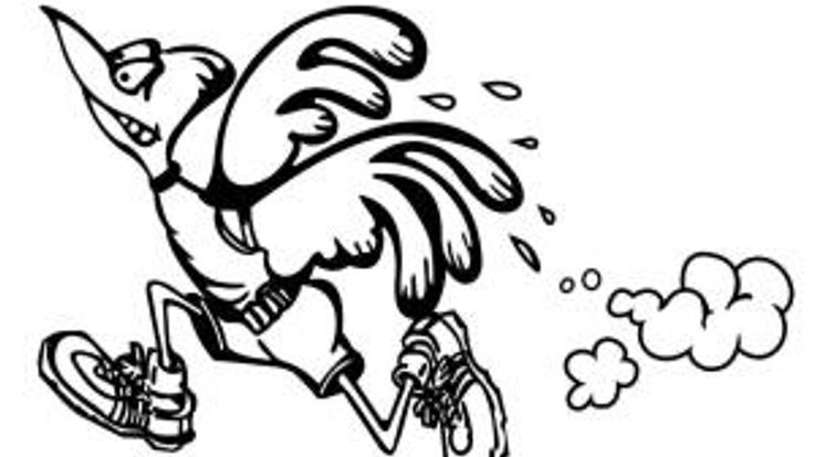48th Annual Roseville Big Bird Run cover