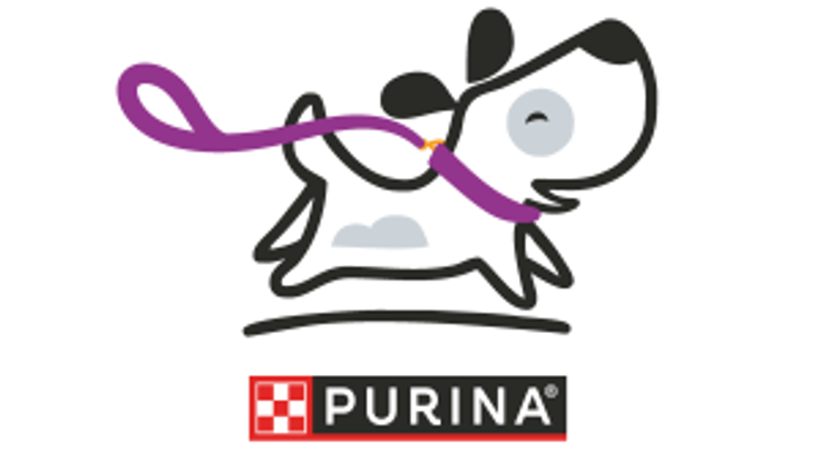 Purple Leash 5K & Fun Run cover