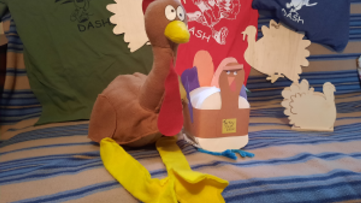 Turkey Dash cover