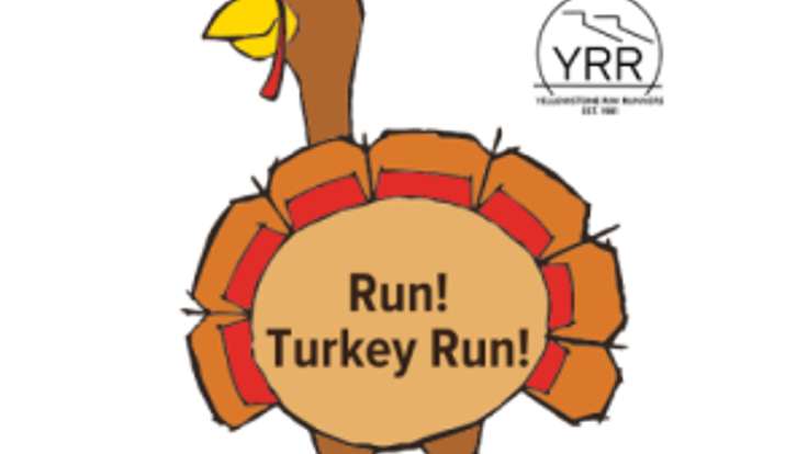 Run! Turkey Run! cover