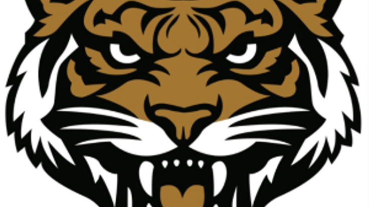 Southern Alamance Middle School Tigers 5k/Fun Run cover