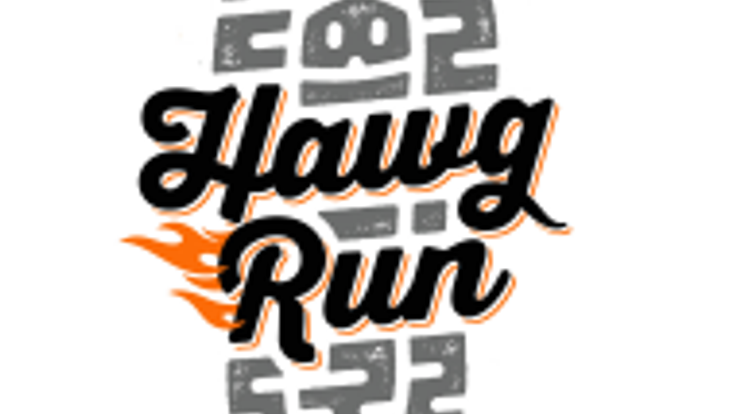 Hawg Run cover
