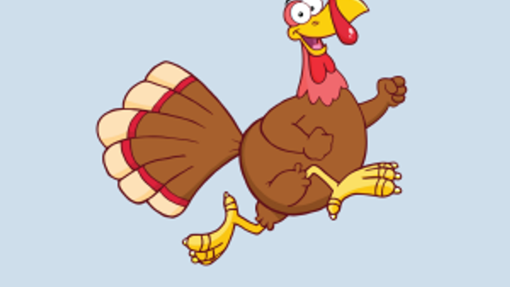 Bradford Park Turkey Trot cover