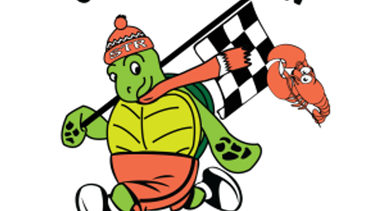 Sea Turtle Race: Cold Stun Run cover