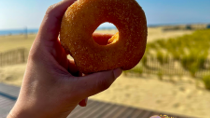 Main Street Donuts Belmar Donut Run cover
