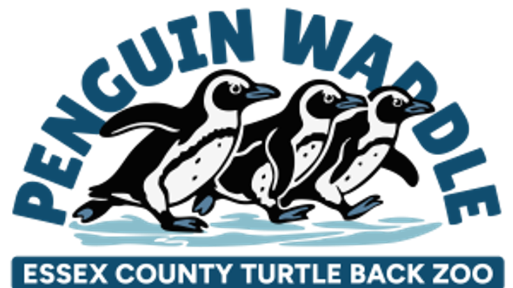 Essex County Turtle Back Zoo Penguin Waddle cover