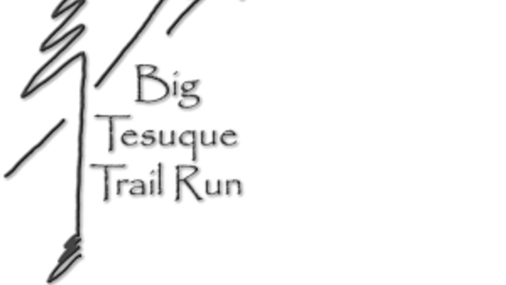 The Big T cover