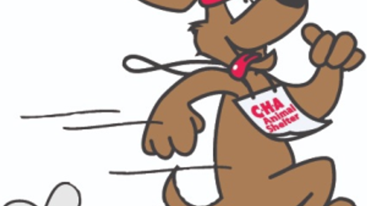 Cover van Dog Jog 5K and Fun Run