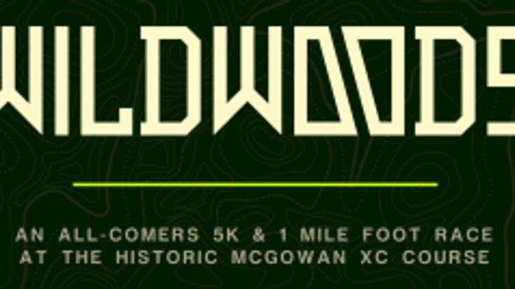 WILDWOODS cover