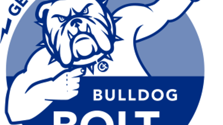 Bulldog Bolt cover