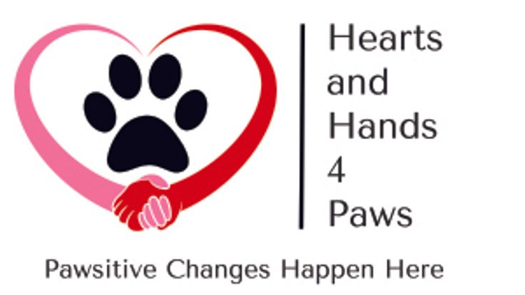 Hearts and Hands 4 Paws 5k cover