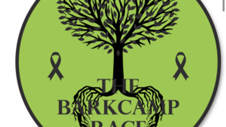 The Barkcamp Race cover